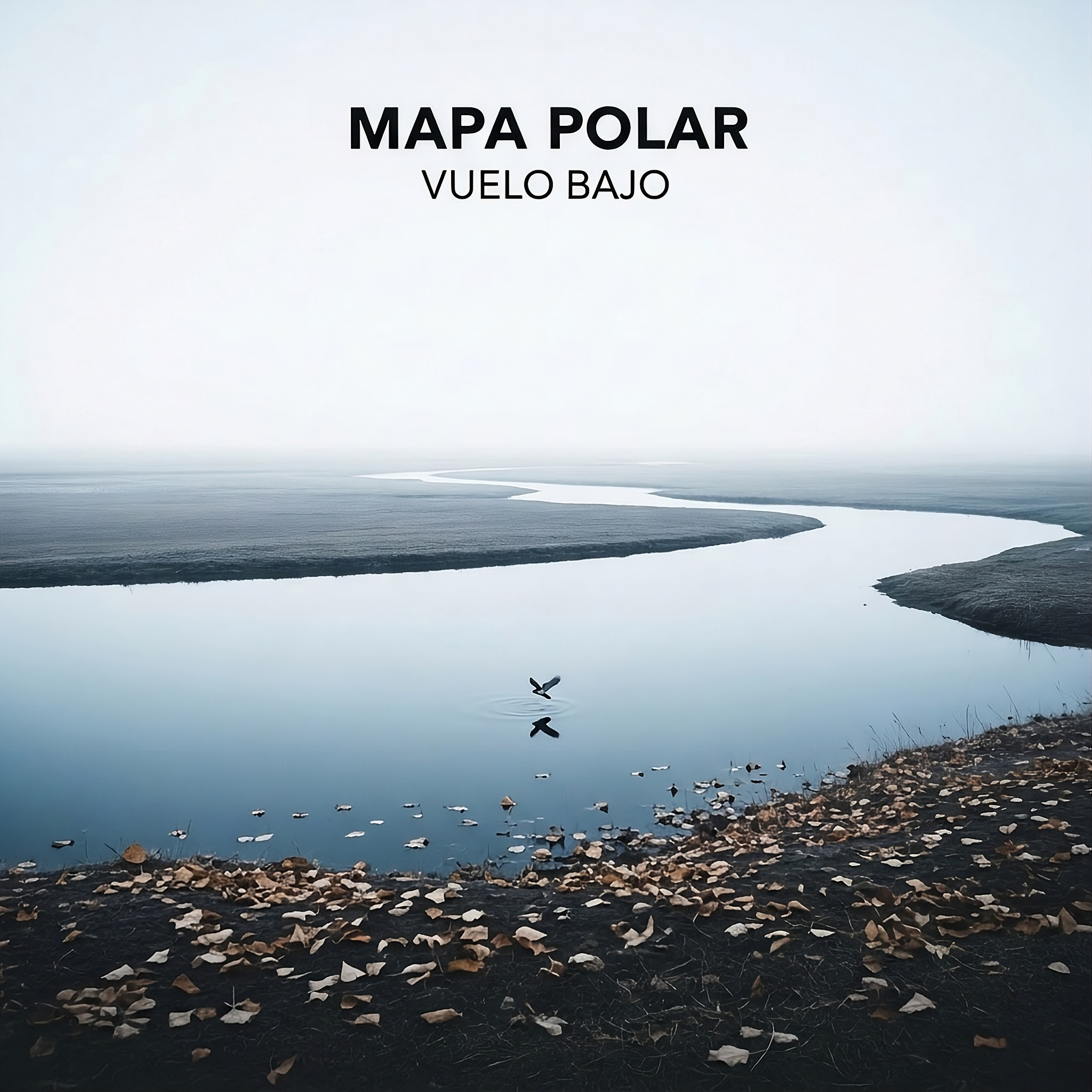 Mapa Polar - Vuelo Bajo
